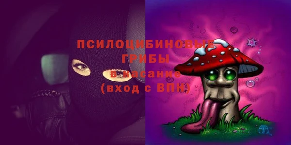 сатива Заволжье