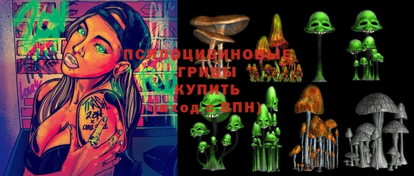 сатива Заволжье