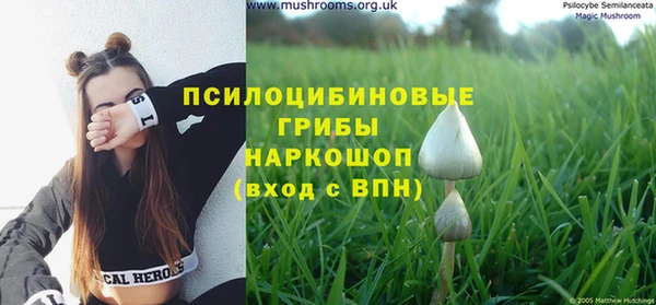 ГАЛЛЮЦИНОГЕННЫЕ ГРИБЫ Заволжск