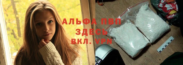 сатива Заволжье